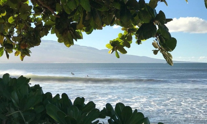 Maalaea Condo | Gorgeous Modern Maui Beachfront- 2 sups Included!