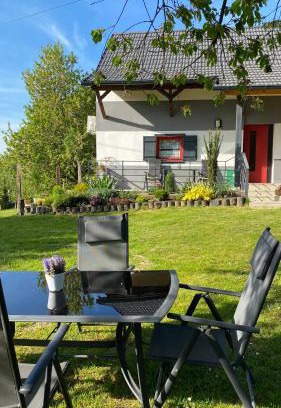 Gornji Petrovci Apartment | Goričko view house