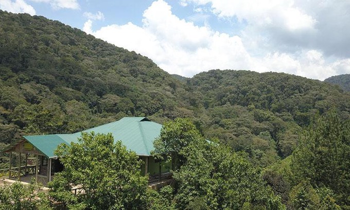 Bwindi Bed & Breakfast | Gorilla Hills Eco-lodge