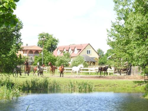 gmina Olszewo-Borki House | Gospodarstwo Kaczynski Ostrołęka