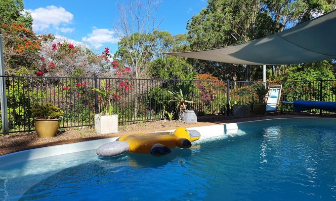 Singleton Shire Council House | Gowrie Agapanthus