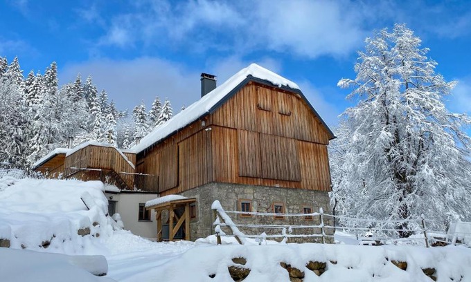 Semic Villa | Gozdna vila Sredgora