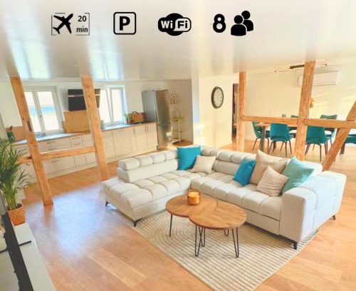Steinbrunn-le-Bas Apartment | Grand appartement chaleureux