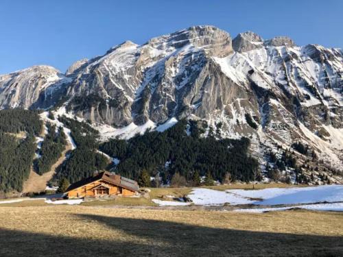 Mont-Saxonnex Ski Chalet | Grand Chalet - Coeur de la montagne