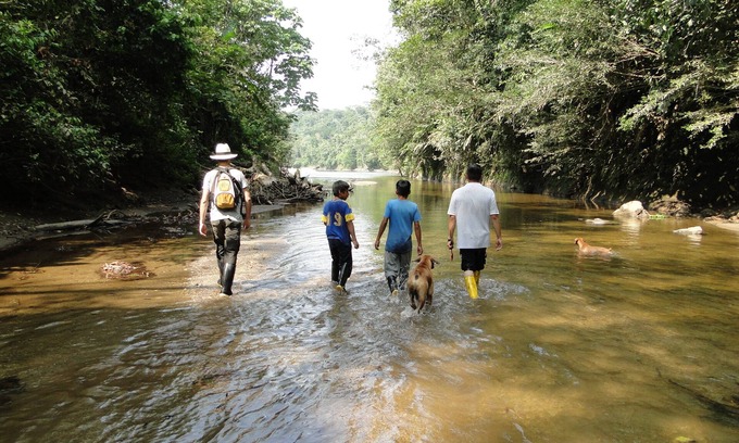 Ahuano Hotel | GRAND SELVA LODGE & TOURS