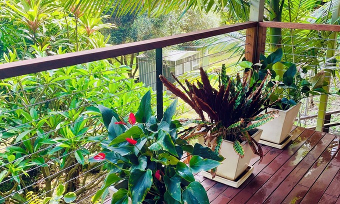 Tallai Apartment | Grandview Retreat, Hinterland Self Contained Apartment