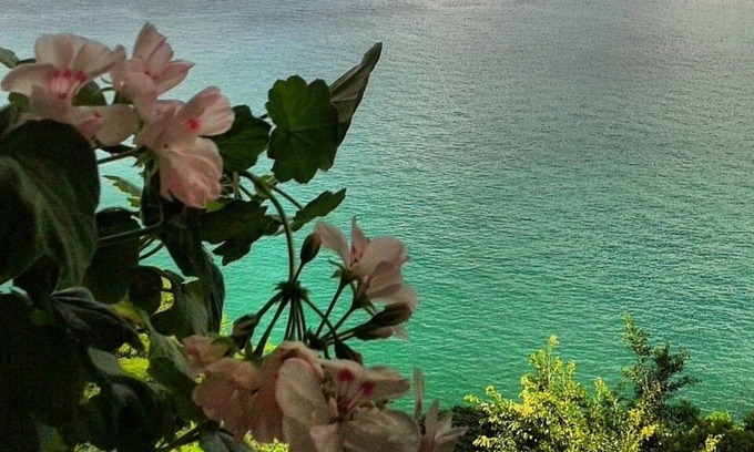 Vitoria Apartment | Great apt! 03 rooms in Corredor da Vitória: the best neighborhood in Salvador!
