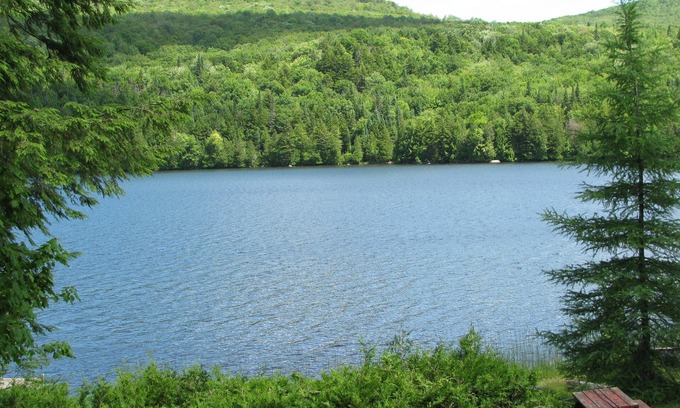 Newark Cabin | Great For Time Alone! Waterfront Cabin - Well Behaved Dogs Welcome. Go Lakeside!