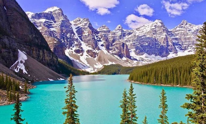 Lake Louise Apartment | Great Location! Cozy Room | Access to Ski Lockers