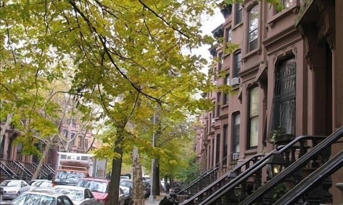 Park Slope Apartment | Great Place to Stay in Park Slope