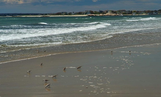 Adamsville House | Great weeks in Aug and Sept nLess than 5 min walk to beach at end of street