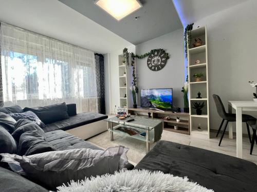 Debrecen Apartment | GreatForestSportAndSpaUniversityFlat