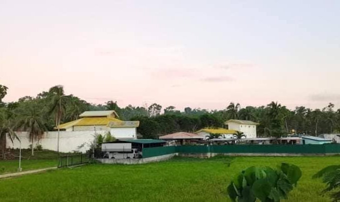 Corella Resort | green aa garden resort