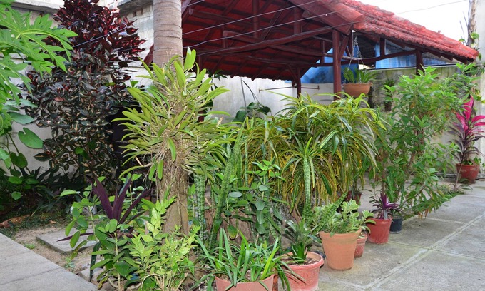 Cienfuegos House | Green Day