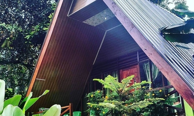 Batang Serangan House | Green Forest Tangkahan