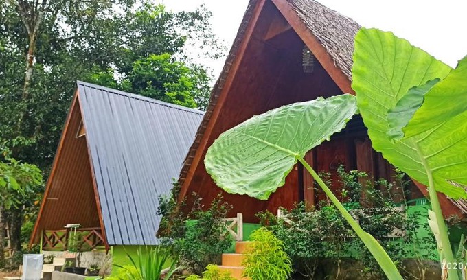 Batang Serangan Hotel | Green Forest Tangkahan