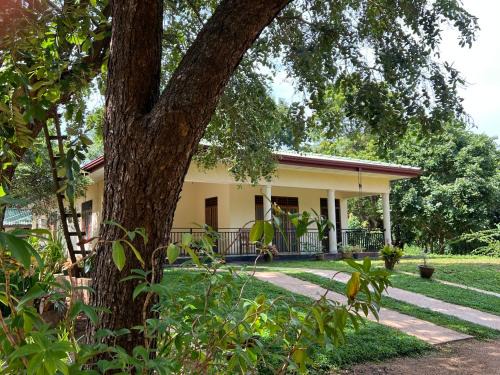 Anuradhapura House | Green Haven Holiday Home