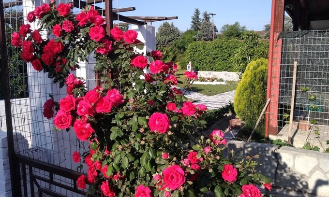 Aridaia House | Green house - Apartment in Aridaia-Loutra Pozar