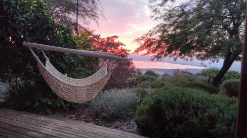 Ma'ale Gamla Cabin | green island
