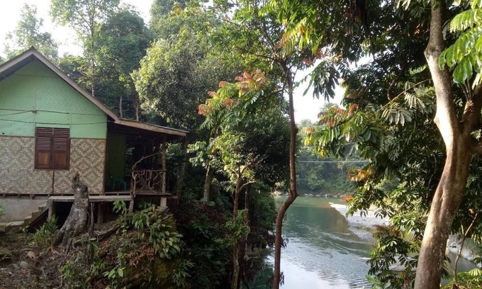 Batang Serangan Bed & Breakfast | Green Lodge Tangkahan