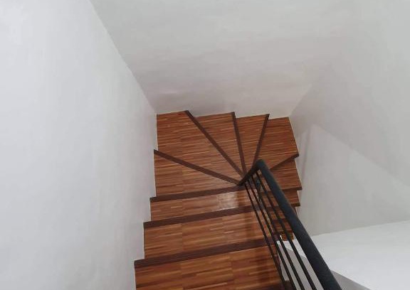 Pavia House | Green Olive