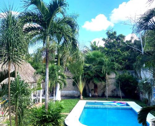 Leona Vicario Apartment | GREEN PARADISE LEONA VICARIO