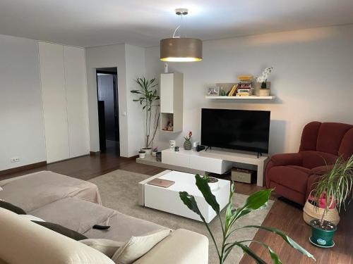 Fontainhas Apartment | Green Pine