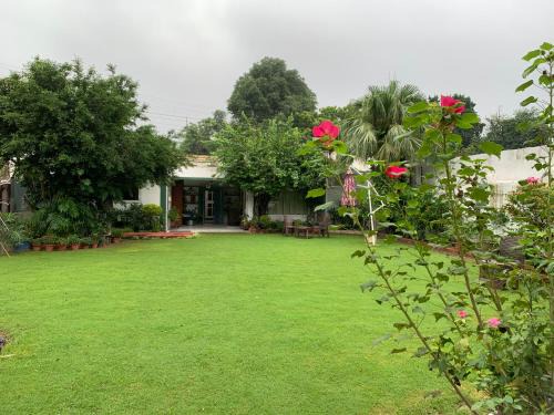 Meerut Apartment | Green Serene Abode