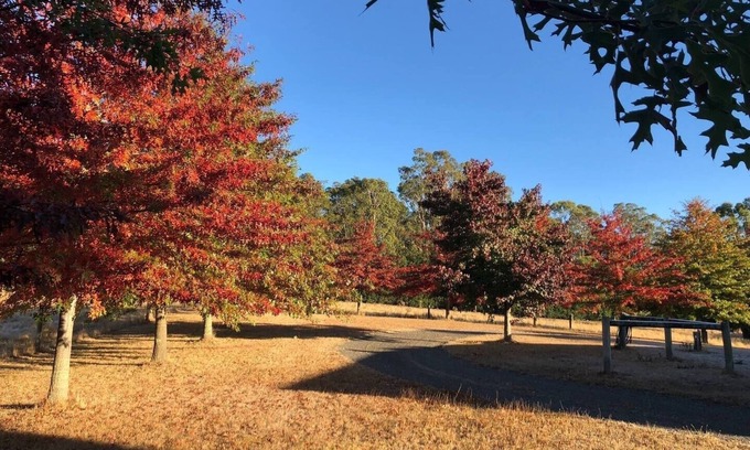 Bullengarook Other | Greenacres - Relaxing Escape in the Macedon Ranges