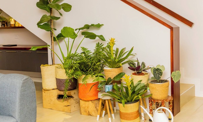 Lubowa House | Greenleaf Residence