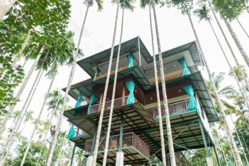 Sulthan Bathery Apartment | GreensVista Wayanad AC Pillar Homestay near Natural Stream and Amazing View