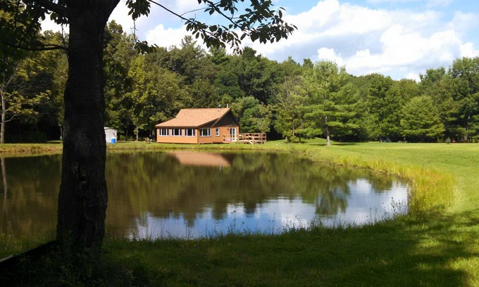 Branchport Cabin | Grey's Getaway Cabin 5 acres, Finger Lake area a little slice of heaven!
