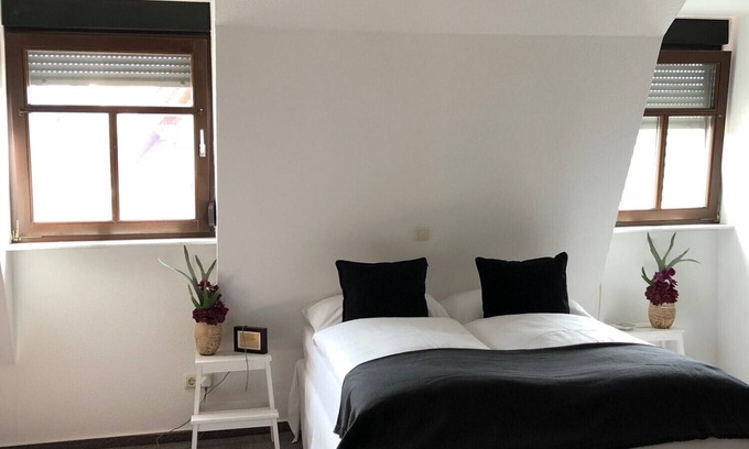 Mainz-Bingen Apartment | Großzügige Lichtdurchflutete Ferienwohnung mit Viel "weinerleben"