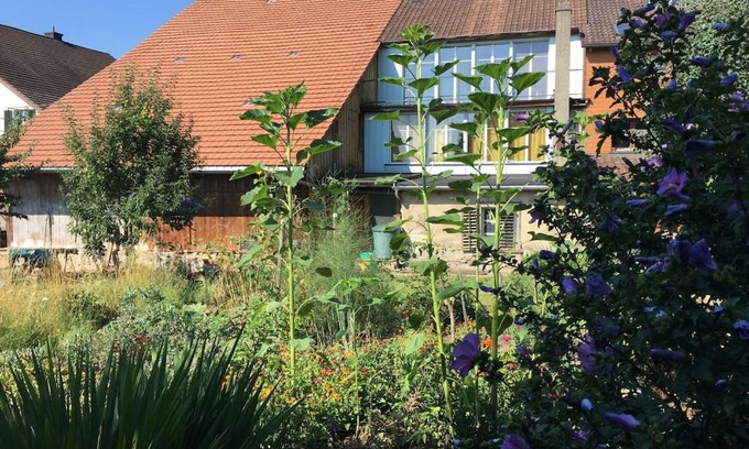 Hallau Apartment | Grosszügiges Bauernhaus für Familie und Freunde
