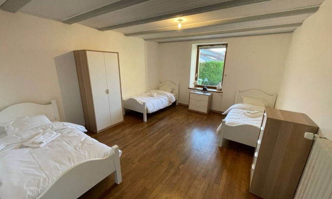 Art-sur-Meurthe Apartment | Ground floor apartment with large courtyard and private access 5 min from Nancy