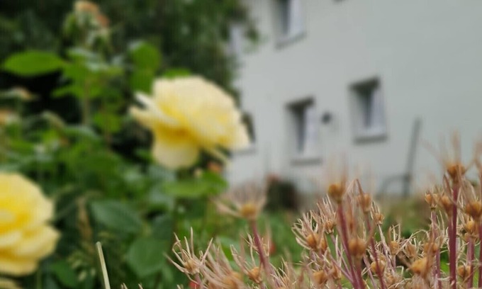 Vierbach House | Group accommodation for nice meetings with friends, family and friends