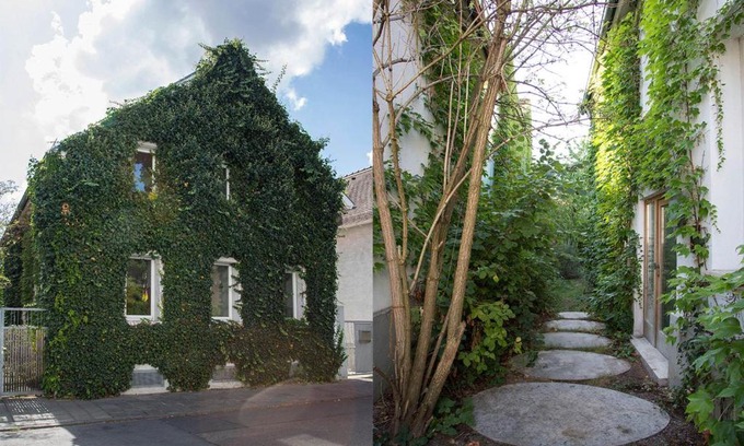 Darmstadt-Eberstadt House | Gruppenhaus Darmstadt