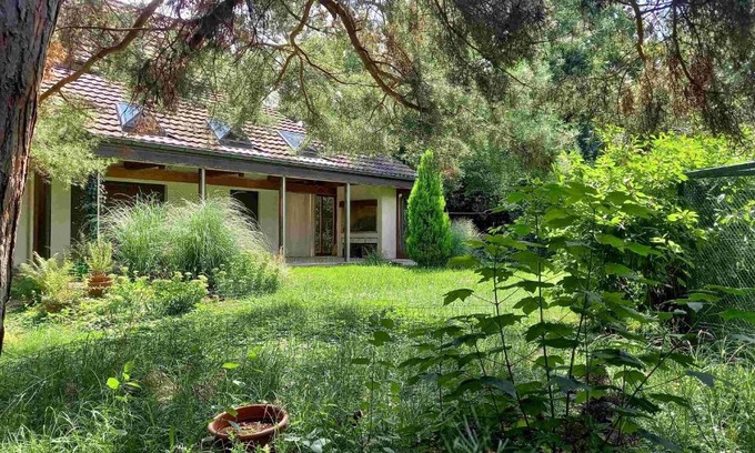 Aesch House | Gruppenunterkunft in schöner Villa, naturnah, mit Sauna