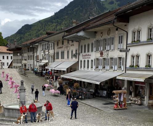 Gruyeres House | Gruyère Rooms