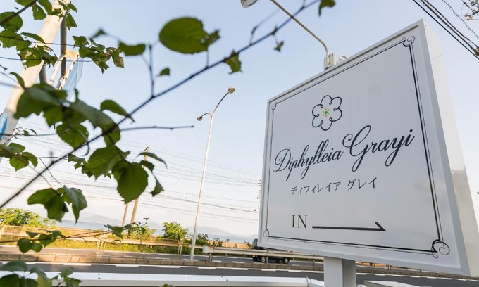 Hatsukaichi House | Guest House Diphylleia Grayi