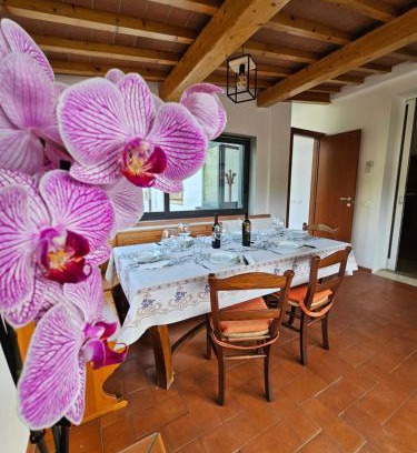 Twist Apartment | Guest House Fantaccini