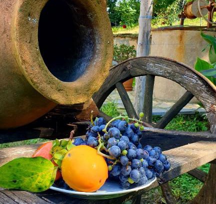 Imereti House | Guest House Godogani