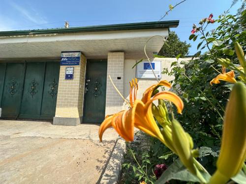 Nukus House | Guest house "NIKA", Nukus
