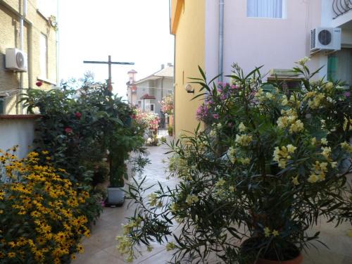 Chernomorets House | Guest house Stoyanovi
