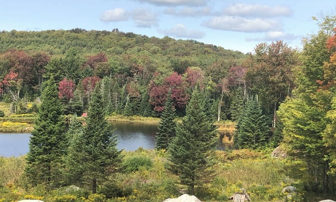 Bristol House | Guest House surrounded by national forest