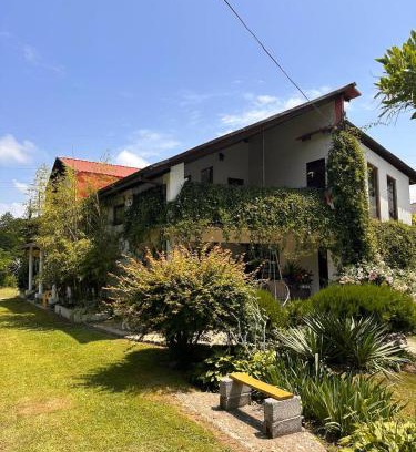 Grigoleti House | Guest house “Tamari’s”