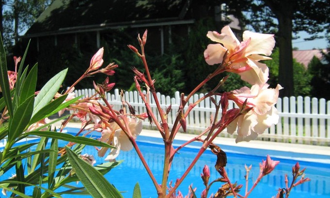 Kupinecki Kraljevec House | Guest House Westwood