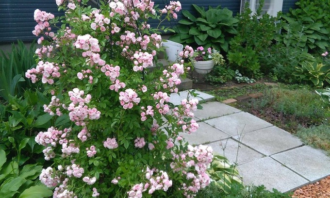 Hakodate House | Guesthouse Annabel