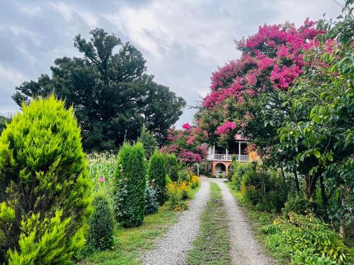 Salkhino House | Guesthouse Kamelia