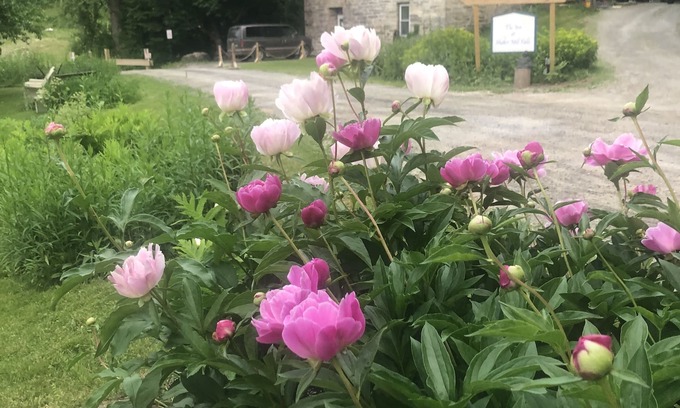 Canaan House | Guesthouse & Permaculture Sanctuary in the Berkshires